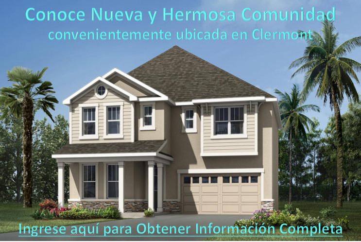 International Real Estate